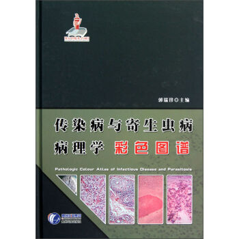 ��Ⱦ���c�����x������W(xu��)��ɫ�D�V